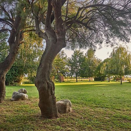 B&B Cascina Dell'Eco Busca Dış mekan fotoğraf